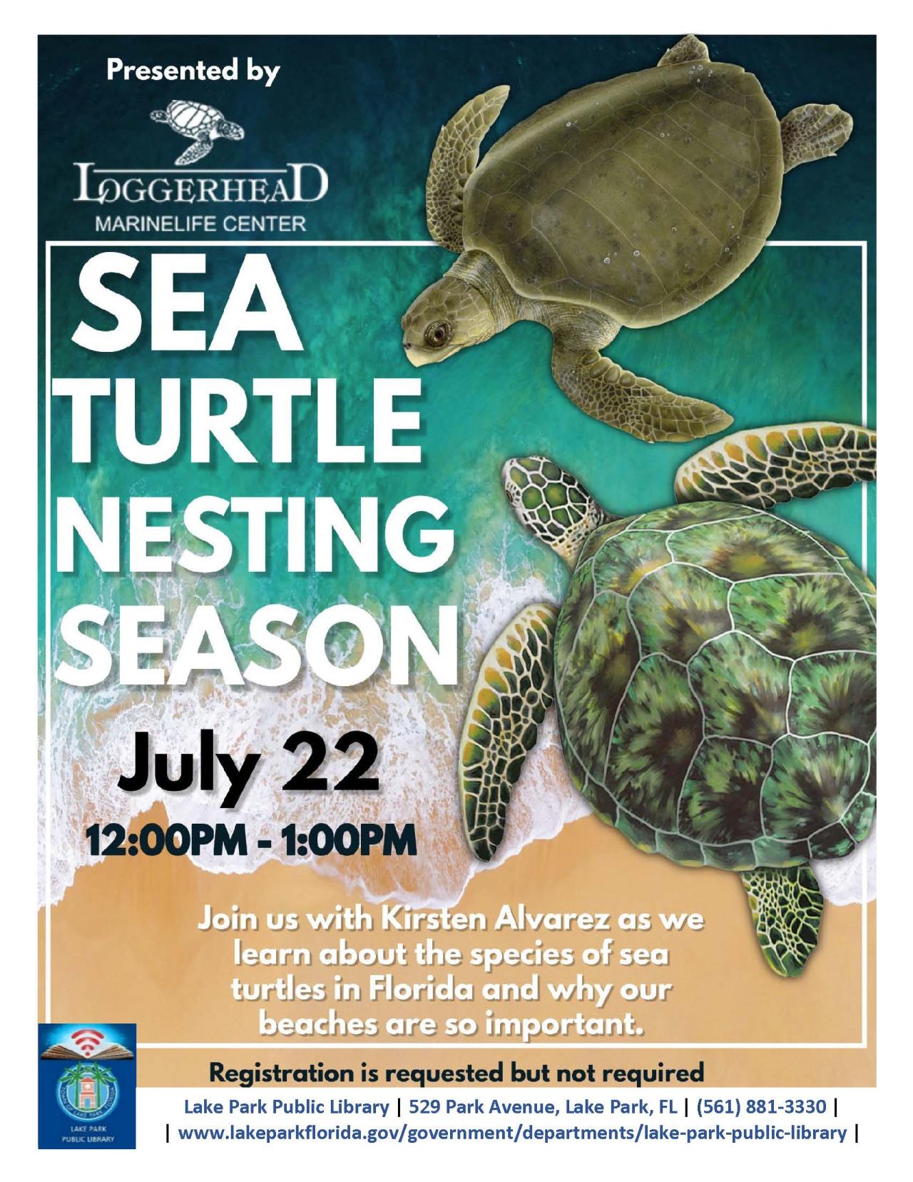 Sea Turtle Nesting Season