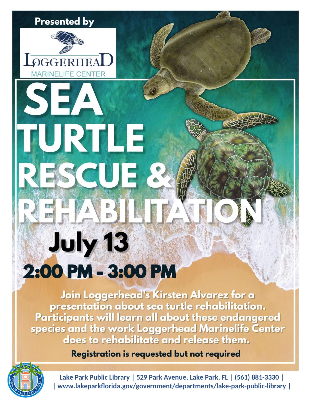 Loggerhead Marine life Center Sea Turtle Rescue & Rehabilitation-1