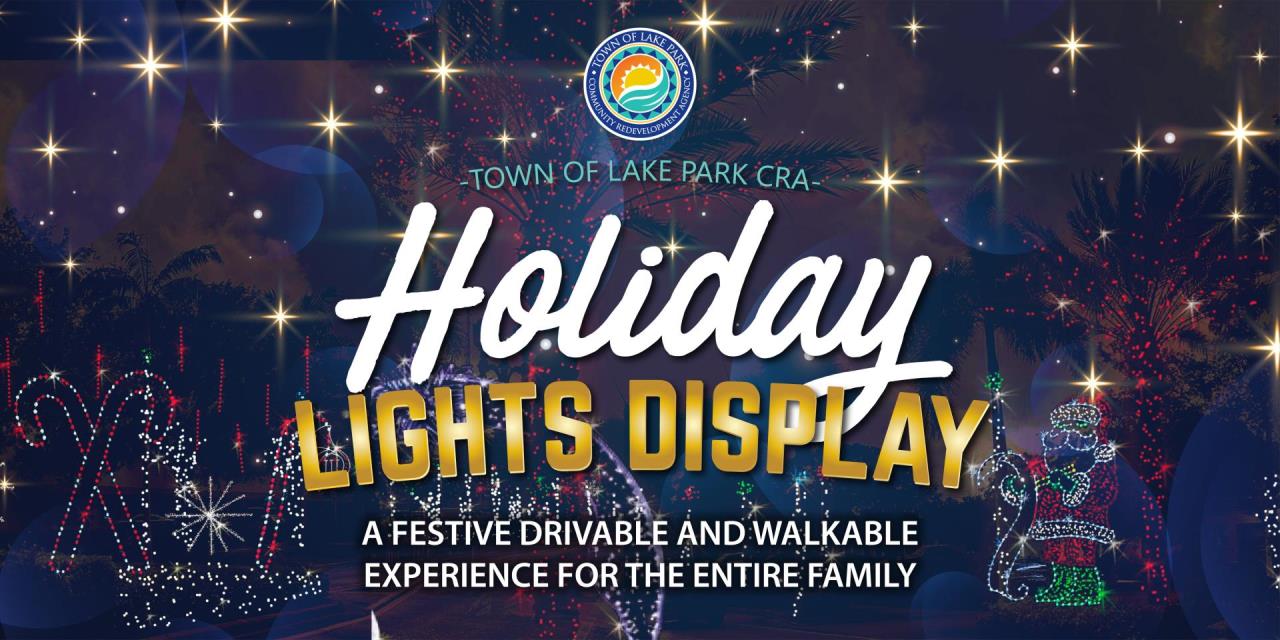 Holiday Lights Display Banner_150